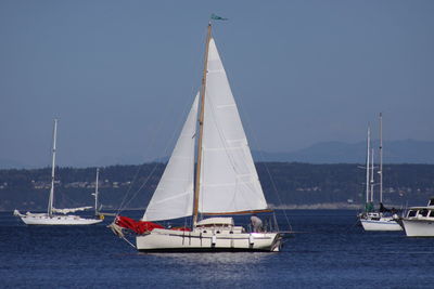 Sailboat sailing on sea against clear sky