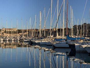 Sailboats moored in harbor