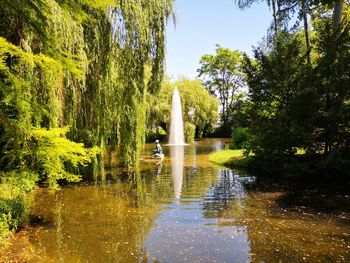 Scenic view of lake in forest against sky