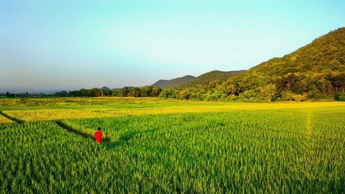 Scenic view of field against sky