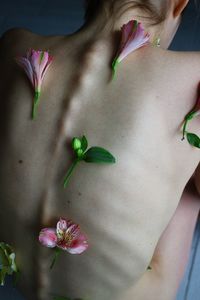 Close-up of pink flower