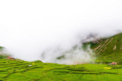 Scenic view of fog on field against sky