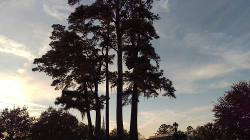 Low angle view of trees against cloudy sky