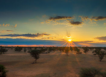 Scenic view of field against sky during sunset