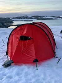Red umbrella on snow covered land
