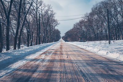 Empty road along bare trees in winter