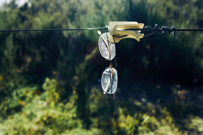 Close-up of glasses hanging on cable