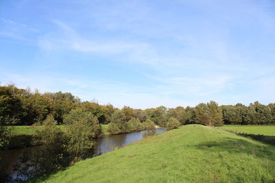 Scenic view of trees on field against sky