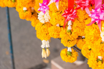 Close-up of yellow flowering plant for sale at market