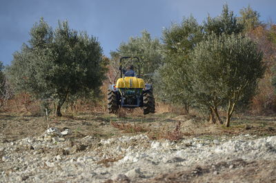 Rear view of men sprinkle olive trees with medicines on field against sky