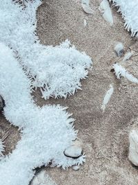 High angle view of snow on field