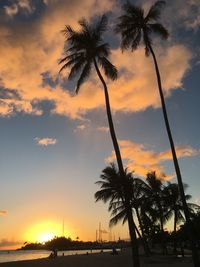 Silhouette of palm trees at sunset