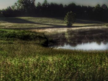 Scenic view of field by lake against sky