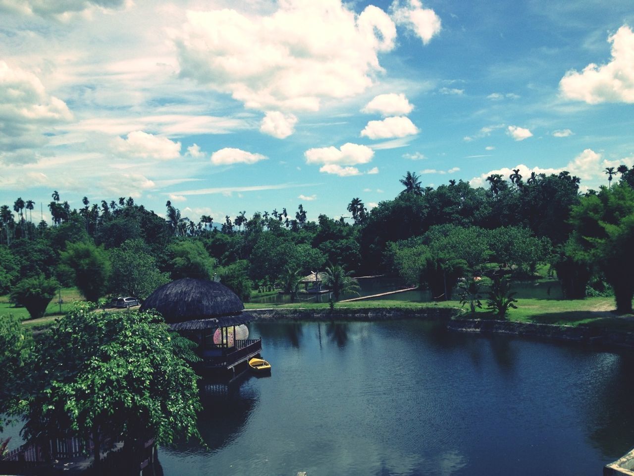 tree, water, sky, cloud - sky, tranquil scene, tranquility, lake, scenics, cloud, beauty in nature, reflection, nature, cloudy, waterfront, growth, green color, river, idyllic, day, outdoors