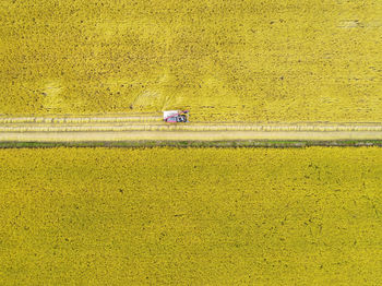 High angle view of yellow car on field