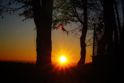 Silhouette trees against sky during sunset