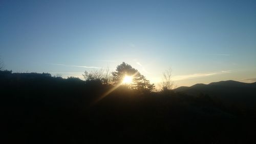 Silhouette trees against clear sky during sunset