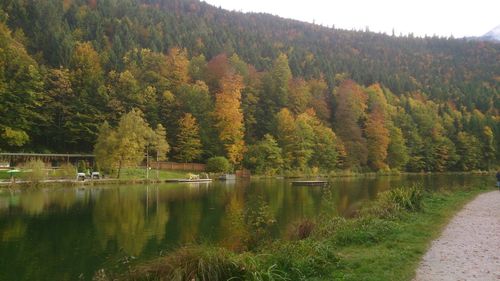 Scenic view of lake in forest during autumn