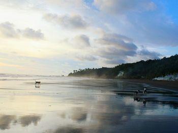 Scenic view of sea against sky