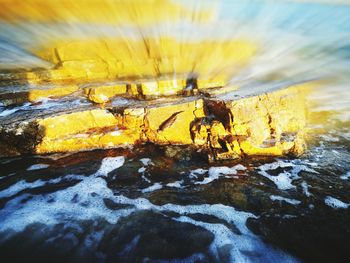 Close-up of yellow crab on rock by water