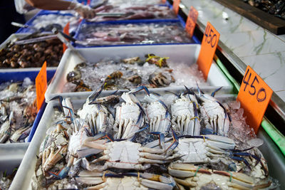 Fresh sea crabs tied up for sale in the seafood market