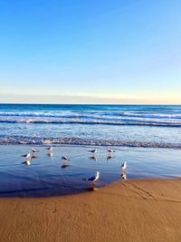 Scenic view of sea against blue sky
