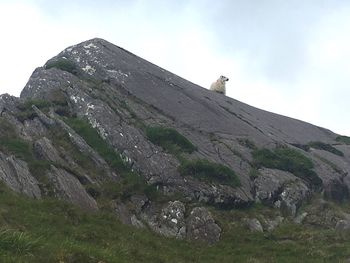 Man on cliff against sky