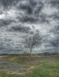 Trees on field against cloudy sky