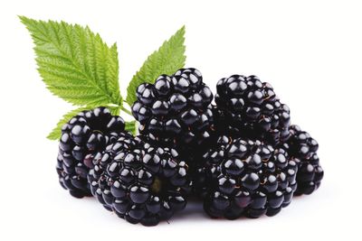 Close-up of blueberries against white background