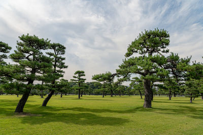 Urban landscape seen from hibiya, chiyoda-ku, tokyo
