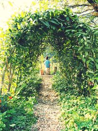 Rear view of people walking on footpath in garden