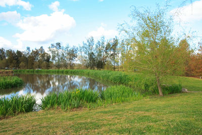 Scenic view of lake against sky