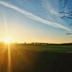 Scenic view of field against sky during sunset