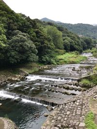 Scenic view of river amidst trees against sky