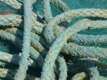 Close-up of tangled ropes at harbor