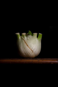 Close-up of white flower on table against black background