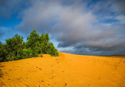 Scenic view of desert against sky