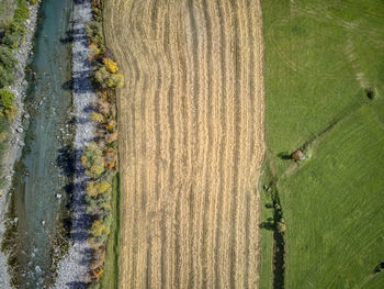 Scenic view of field