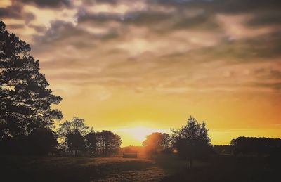 Silhouette trees against sky during sunset