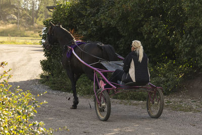 Rear view of man riding horse on field