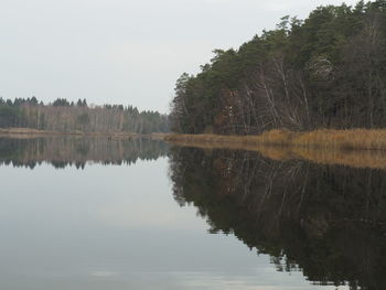 Scenic view of lake in forest against sky