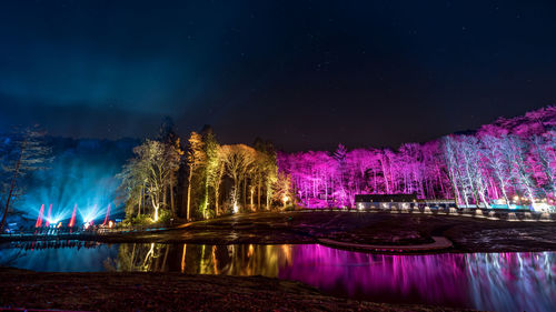 Illuminated trees by lake against sky at night