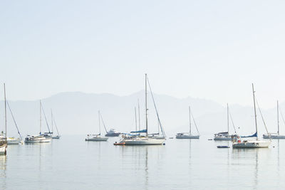 Sailboats in sea against clear sky