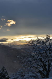 Scenic view of landscape against sky during winter