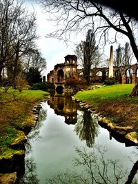 Reflection of bare trees in water