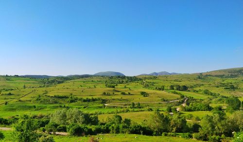 Scenic view of field against clear blue sky