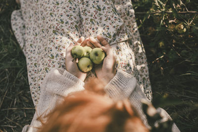 High angle view of woman holding fruits