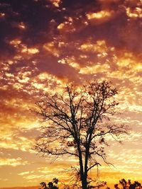 Low angle view of silhouette bare tree against sunset sky