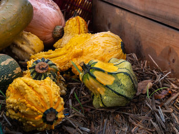 High angle view of pumpkins on wood