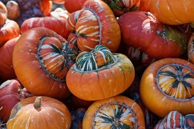 Full frame shot of pumpkins in market